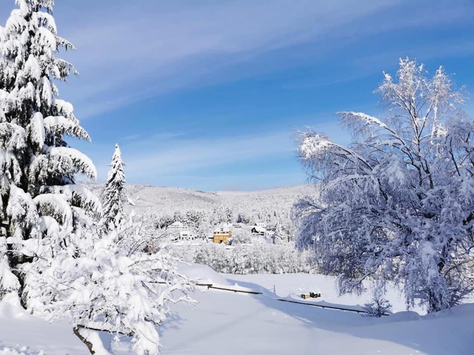 Studio Soleil Au Hohwald Dış mekan fotoğraf